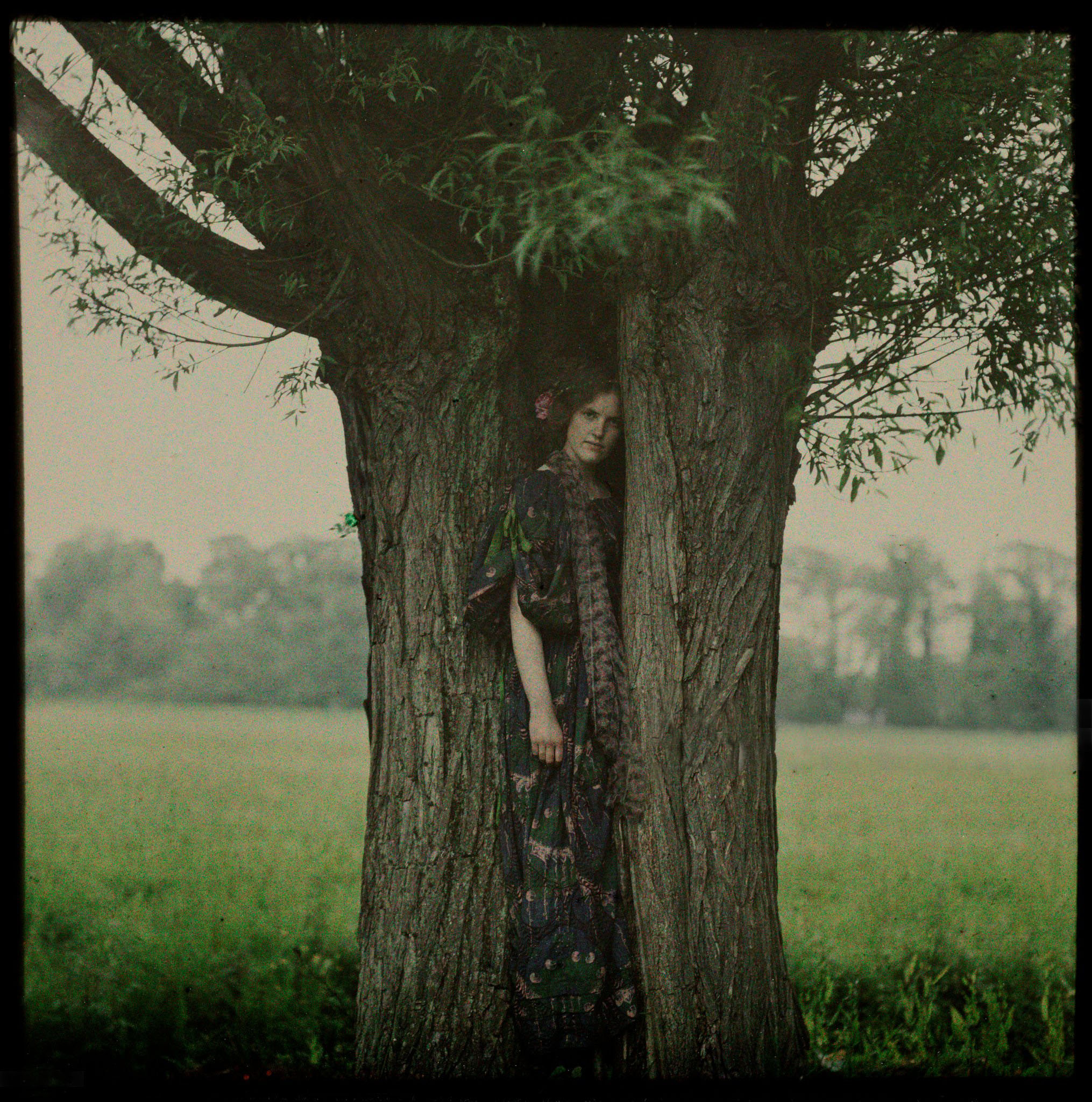 John Cimon Warburg · The Dryad, ca. 1910, autochrome. The Royal Photographic Society Collection; V&A Museum. | src Getty Images