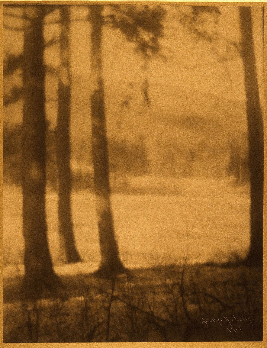 George H. Seeley :: Three tree silhouettes, ca. 1917. Platinum print. Courtesy Lee Gallery. | src Luminous Lint LL/24558