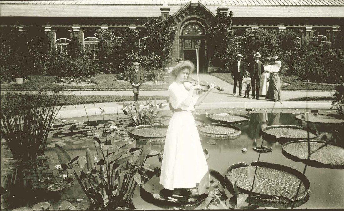 Violinist standing on giant lilypad between 1900-1909