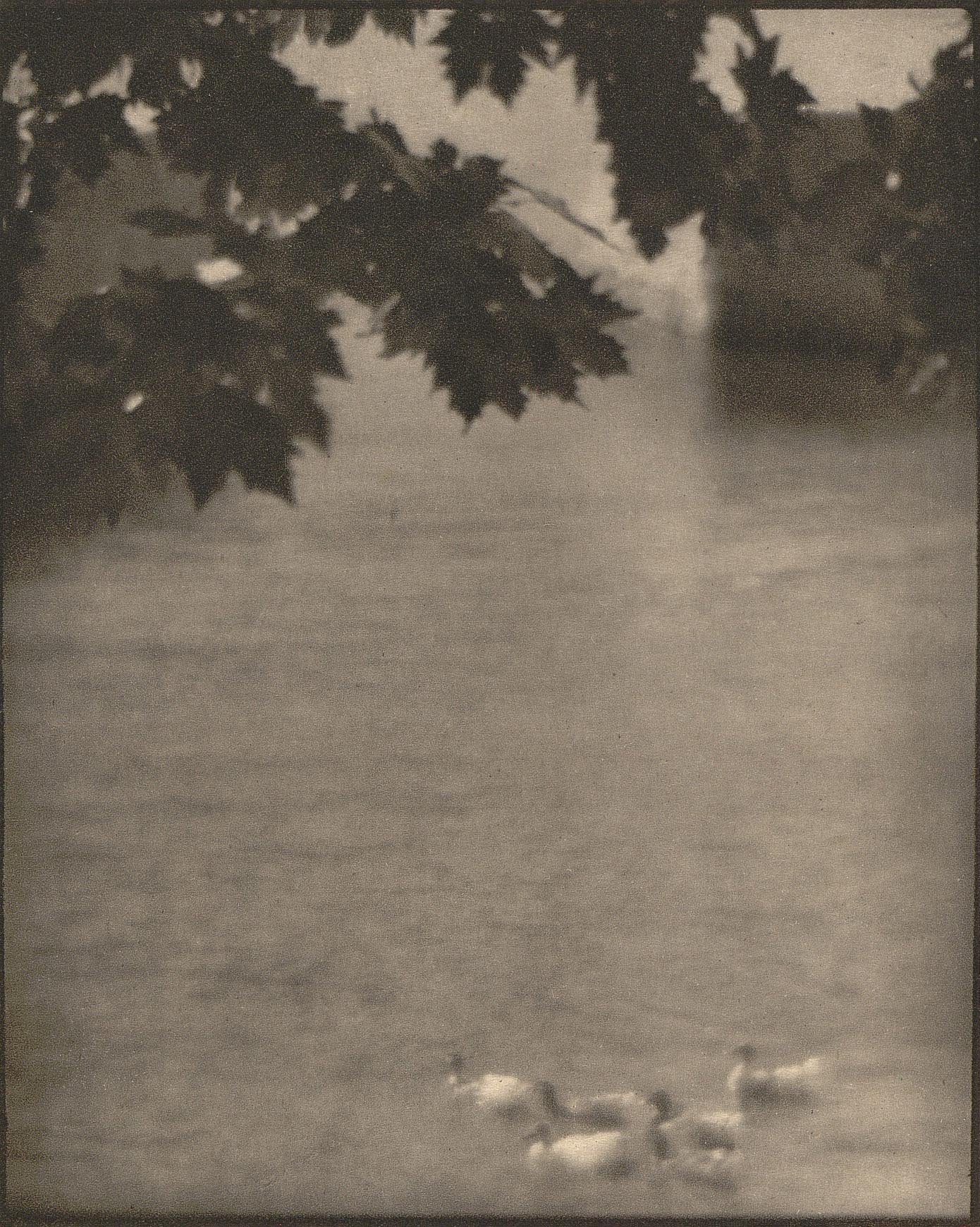 Karl Struss (1886-1981) :: Ducks on Lake Como. Photogravure published in Camera Work nº 38, 1912. | src Modernist Journals Project