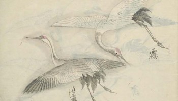 ornithology, gouache, aquarell, birds, japan, 1880s